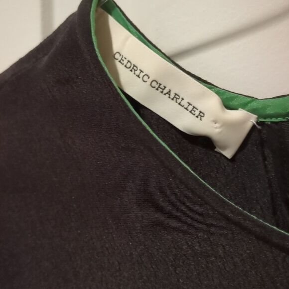 Cedric Charlier Runway Colorblock Top - Picture 8 of 12